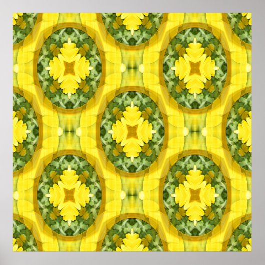 Calendula Liebe....... Poster (Vorne)