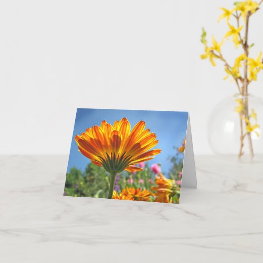 Calendula Note Card Karte (Gelbe Blume)