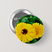 Calendula Officinalis Abzeichen Button (Vorne & Hinten)