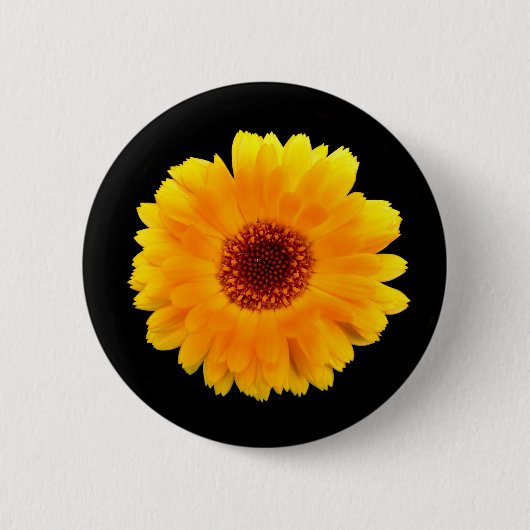 Calendula Officinalis Abzeichen Button (Vorderseite)
