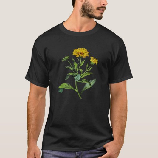 Calendula officinalis Botanical Vector Cut Out T-Shirt (Vorderseite)