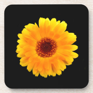 Calendula Officinalis Getränkeuntersetzer