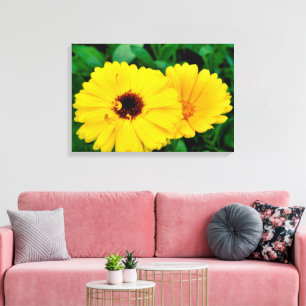 Calendula Officinalis Leinwanddruck