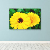 Calendula Officinalis Leinwanddruck (Insitu (Holzboden))