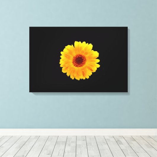 Calendula Officinalis Leinwanddruck (Insitu (Holzboden))