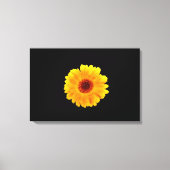 Calendula Officinalis Leinwanddruck (Vorderseite)