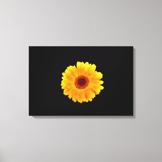 Calendula Officinalis Leinwanddruck (Vorderseite)