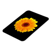 Calendula Officinalis Magnet (Linke Seite)