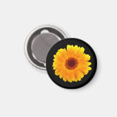 Calendula Officinalis Magnet (Vorderseite/Rückseite)