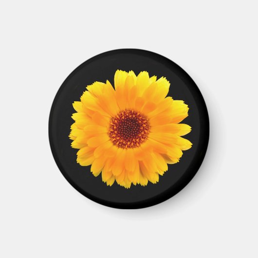 Calendula Officinalis Magnet (Vorne)