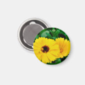 Calendula Officinalis Magnet (Vorderseite/Rückseite)