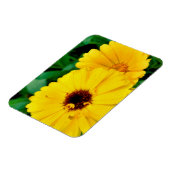 Calendula Officinalis Magnet (Linke Seite)