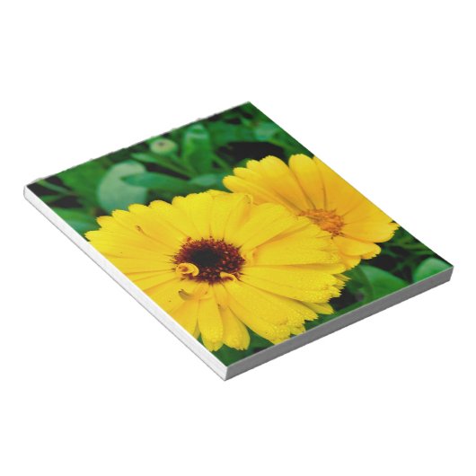 Calendula Officinalis Notizblock (angewinkelt)