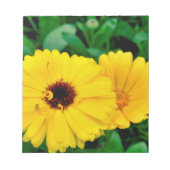 Calendula Officinalis Notizblock (Vorderseite)