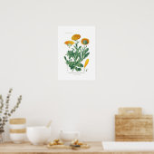 Calendula officinalis (Pot marigold) Poster (Küche)