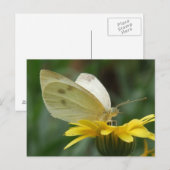 Calendula Party! Postkarte (Vorne/Hinten)