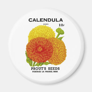 Calendula Vintage Saatpackung Magnet
