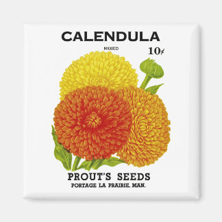 Calendula Vintage Saatpackung Magnet