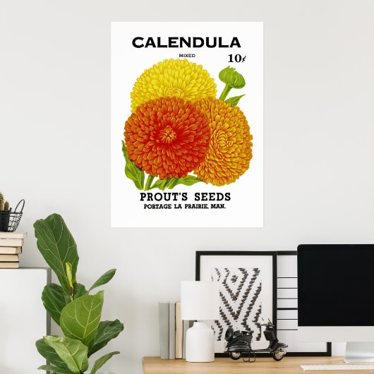 Calendula Vintage Saatpackung Poster (Heimbüro)