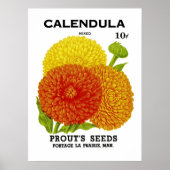 Calendula Vintage Saatpackung Poster (Vorne)