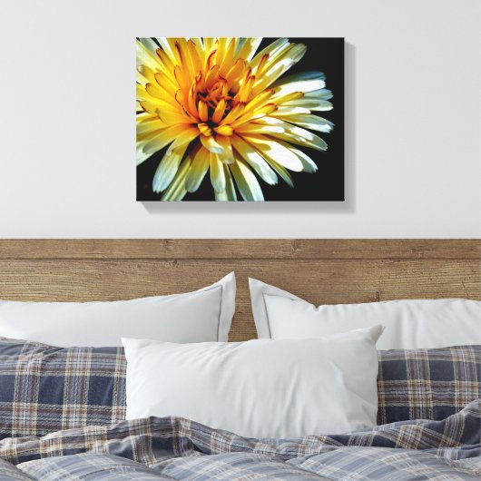 Calendula Wow Leinwanddruck (Insitu (Schlafzimmer))