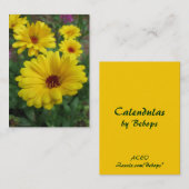 Calendulas ATC Visitenkarte (Vorne/Hinten)