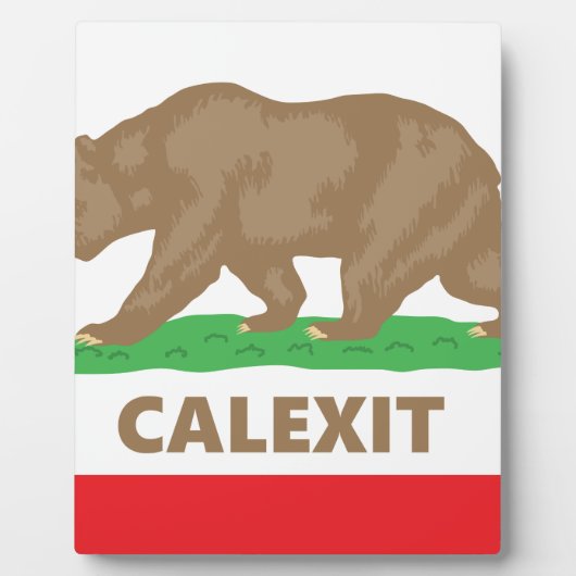 Calexit Fotoplatte (Vorderseite)
