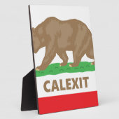 Calexit Fotoplatte (Seite)