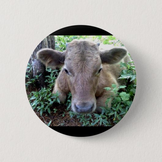 Calf 1, Button (Vorderseite)