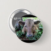 Calf 1, Button (Vorne & Hinten)