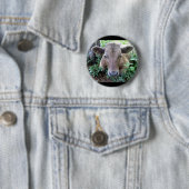 Calf 1, Button (Beispiel)
