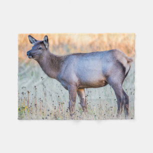 Calf Elk   Madison Junction, Wyoming Fleecedecke