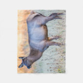 Calf Elk | Madison Junction, Wyoming Fleecedecke (Vorderseite)