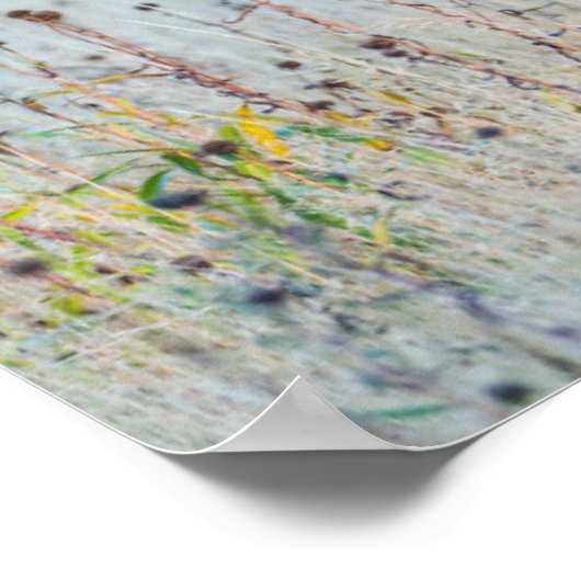 Calf Elk | Madison Junction, Wyoming Poster (Ecke)