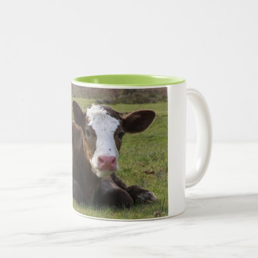 CALF IST SO BEREIT, IHNEN IM MORNING ZU BRINGEN ZWEIFARBIGE TASSE (VorderseiteRechts)