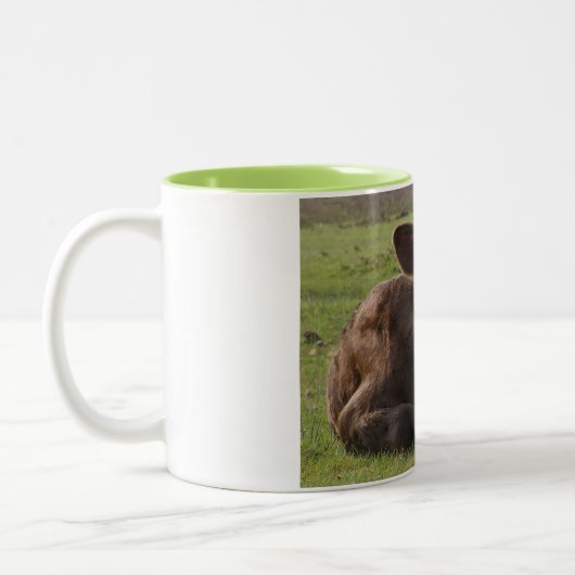 CALF IST SO BEREIT, IHNEN IM MORNING ZU BRINGEN ZWEIFARBIGE TASSE (Links)