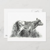 CALF PENCIL POSTKARTE (Vorne/Hinten)