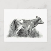 CALF PENCIL POSTKARTE (Vorderseite)