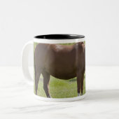 Calgary, Alberta, Kanada 2 Zweifarbige Tasse (Vorderseite Links)