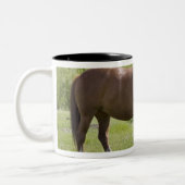 Calgary, Alberta, Kanada 2 Zweifarbige Tasse (Links)