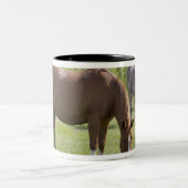 Calgary, Alberta, Kanada 2 Zweifarbige Tasse (Mittel)