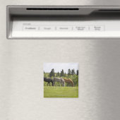 Calgary, Alberta, Kanada Magnet (In Situ (Geschirrspüler))