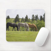 Calgary, Alberta, Kanada Mousepad (Mit Mouse)