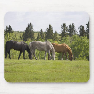 Calgary, Alberta, Kanada Mousepad