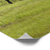 Calgary, Alberta, Kanada Poster (Ecke)