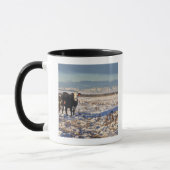 Calgary, Alberta, Kanada Tasse (Links)