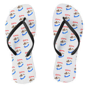 Calgary Canada Horses July Riders Calgary Stampede Badesandalen