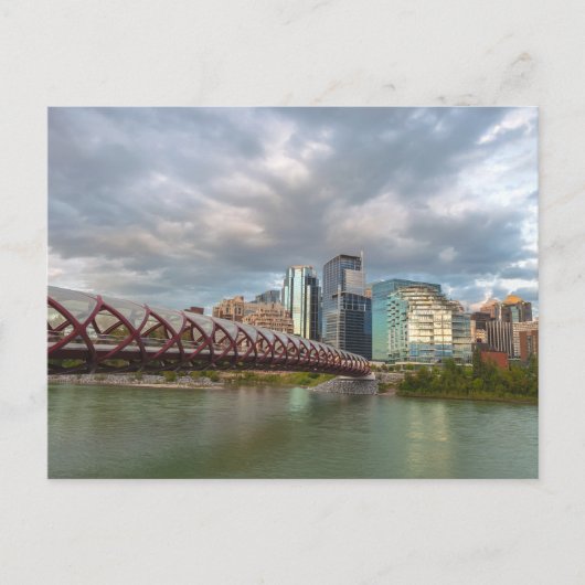 Calgary Cityscape and the Peace Bridge Postkarte (Vorderseite)