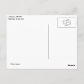 Calgary Postcard Postkarte (Rückseite)