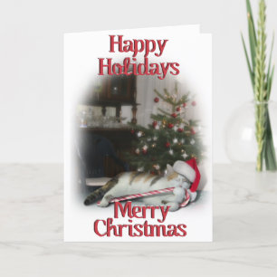 Cali, die Candy Cane Kitty Feiertagskarte